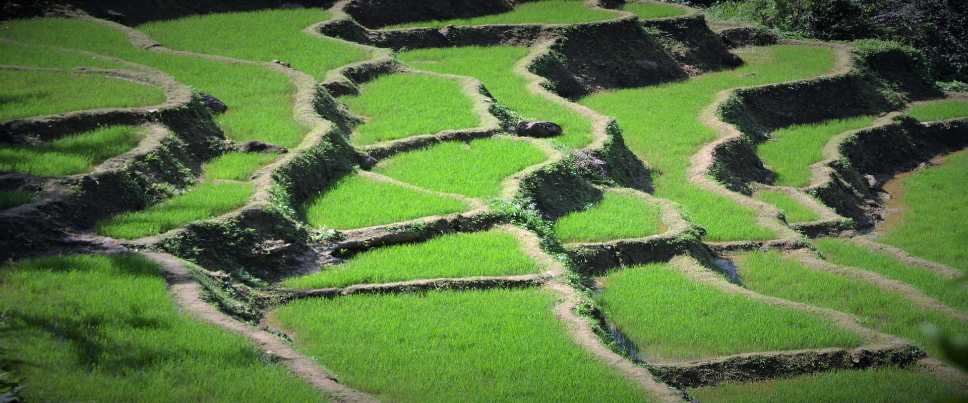 HANOI – MAI CHAU – PU LUONG – NINH BINH - HALONG